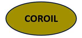 Huiles COROIL : Performance et Protection - Vente et distribution lubrifiants